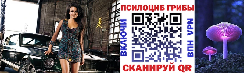 Галлюциногенные грибы прущие грибы  Зверево 